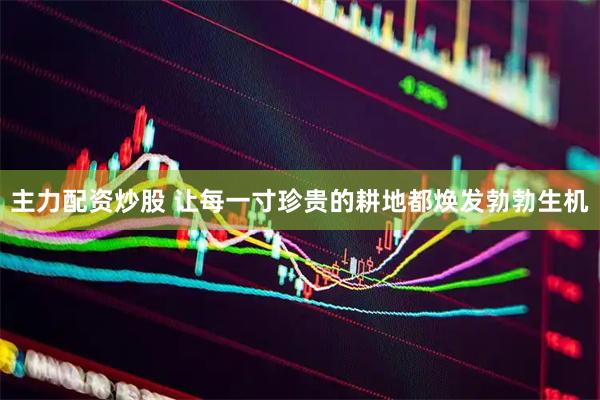 主力配资炒股 让每一寸珍贵的耕地都焕发勃勃生机
