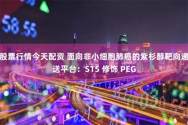 股票行情今天配资 面向非小细胞肺癌的紫杉醇靶向递送平台：S15 修饰 PEG