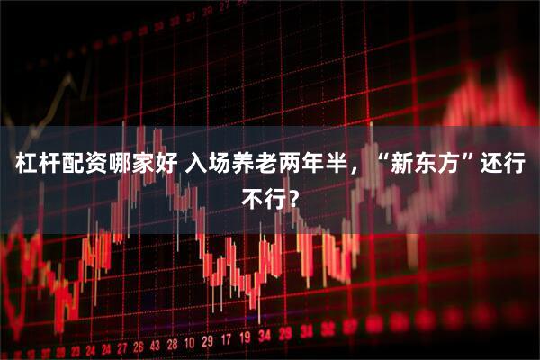 杠杆配资哪家好 入场养老两年半，“新东方”还行不行？