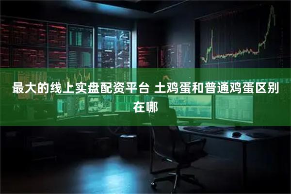 最大的线上实盘配资平台 土鸡蛋和普通鸡蛋区别在哪
